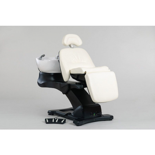 Мойка парикмахерская "Destiny"